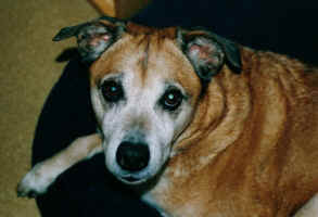2001 07 22 I12 21 Nina 6.jpg (149185 bytes)