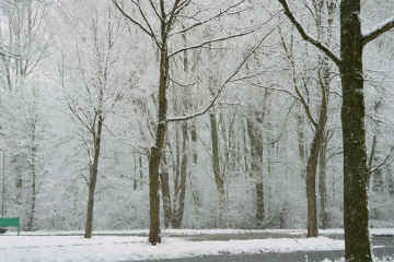 20040101 02 vanaalstlaan.jpg (447911 bytes)