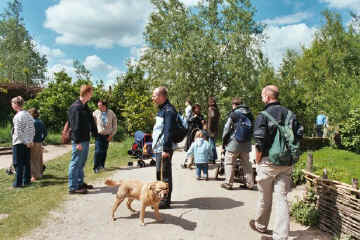 20040522archeon0002.jpg (117265 bytes)