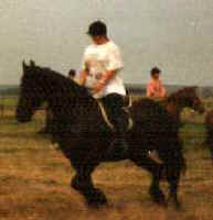 88emyhorse.jpg (5634 bytes)