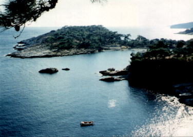 Stammati.jpg (19742 byte)