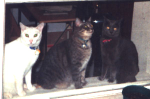 The 3 Demons