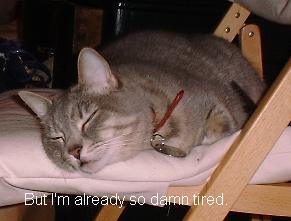 So Damn Tired