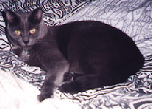 Zoe