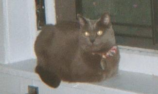 Zoe on the ledge