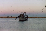 Denia