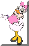 disdaisy.gif (8617 bytes)