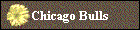 Chicago Bulls