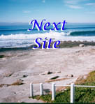 Next Site
