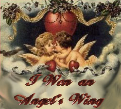 I won an Angel's Wing!