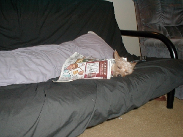 George Sleeping