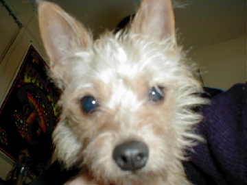 George Up Close