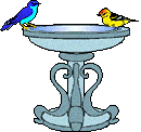 Birdbath