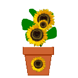 The Site Fights Spirit Flowers
