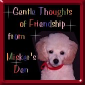 A Gift From Misker!