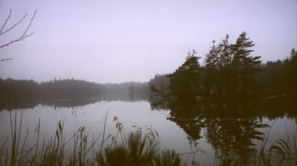Furusj&ouml;