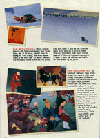 Mixture, Mulan's Story