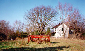 country farm