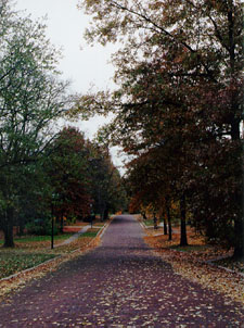 brick street photo