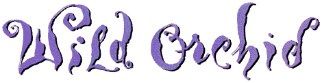 Wild Orchid's