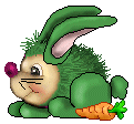 Biki