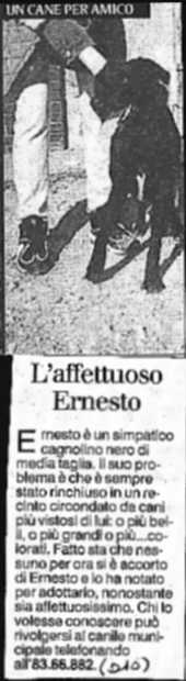 ernesto.JPG (17165 bytes)