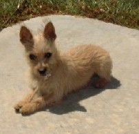 George