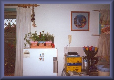 indoor herb garden