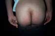 One Of The Offending Asses, As Photographed By Police