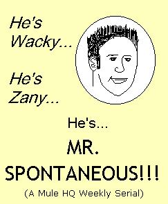 'Mr Spontaneous' Header