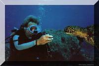 Jerry underwater