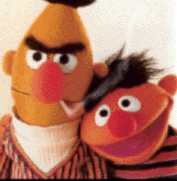 Bert
