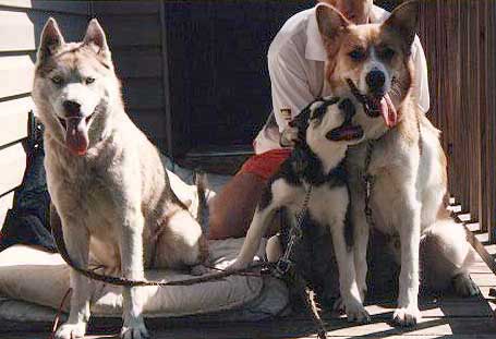 Raine, Tao and Roscoe