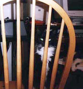 Puck, behind bars