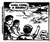 MARK, LOOK A SHARK!
