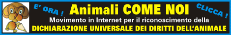 Animali Come Noi - Movimento in Internet per il riconoscimento della Dichiarazione Universale dei Diritti dell'Animale - Firma per i Diritti Animali !!!