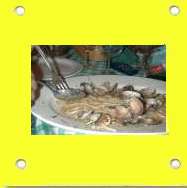 Vongole...