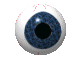 eyes4.gif (26986 bytes)