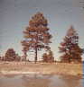Flagstaff