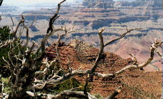 grandcanyon