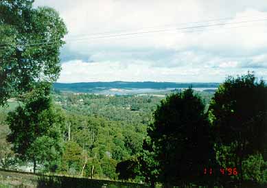 dandenongs.JPG (21894 bytes)