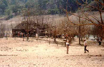 eildon.JPG (25266 bytes)