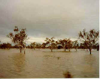 flood1.JPG (17581 bytes)