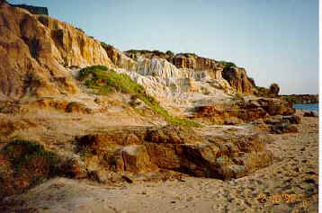 sandybch.JPG (25267 bytes)