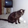 miou03.jpg