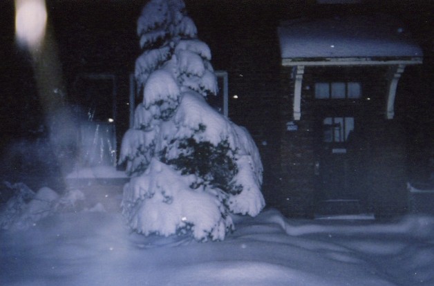 A tree