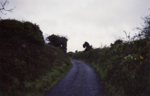 The path that leads from the Rainbow Hostel to the center of Dingle town