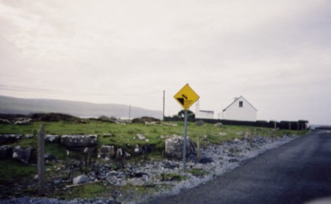 Gotta love the warning signs...