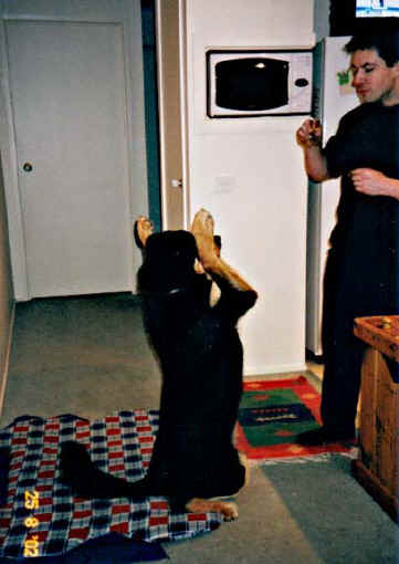 fTitanbeg.jpg (35509 bytes)