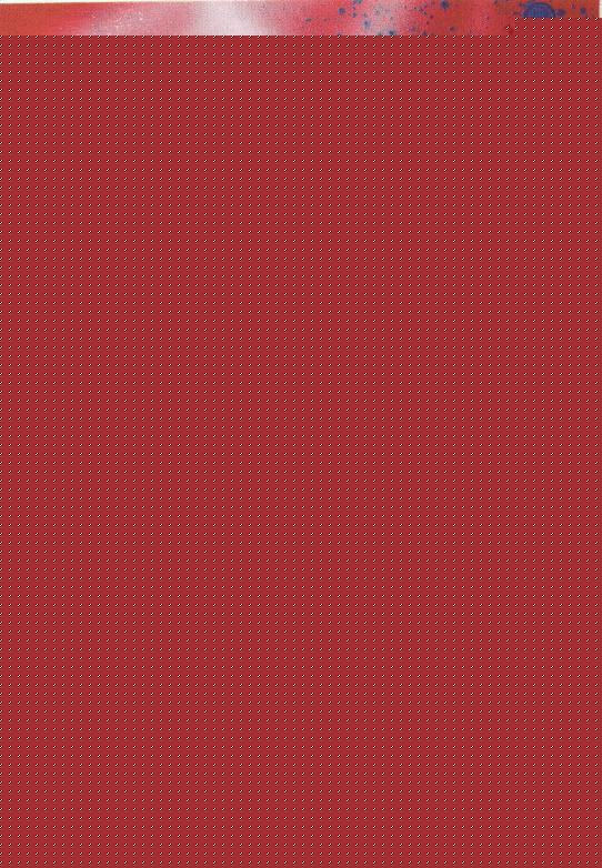 18.jpg (91372 Byte)